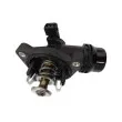 Thermostat d'eau WAHLER 4337.105D - Visuel 2