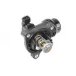 Thermostat d'eau WAHLER 4337.105D - Visuel 3