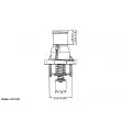 Thermostat d'eau WAHLER 4357.92D - Visuel 1