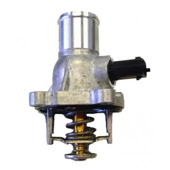 Thermostat d'eau WAHLER 4431.105D