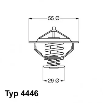 Thermostat d'eau WAHLER 4446.83D