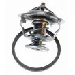 Thermostat d'eau WAHLER 4446.83D - Visuel 2