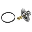 Thermostat d'eau WAHLER 4447.85D - Visuel 2