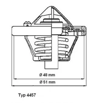 Thermostat d'eau WAHLER 4457.82D