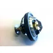 Thermostat d'eau WAHLER 4489.90D - Visuel 2