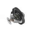 Thermostat d'eau WAHLER 4489.90D - Visuel 3