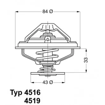 Thermostat d'eau WAHLER 4516.85D