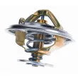 Thermostat d'eau WAHLER 4519.95D - Visuel 2