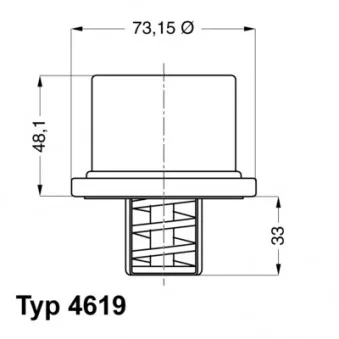Thermostat d'eau WAHLER 4619.82