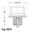 Thermostat d'eau WAHLER 4621.80D - Visuel 1