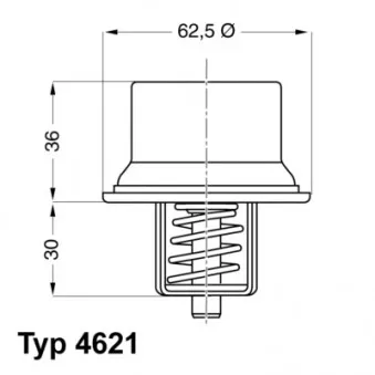 Thermostat d'eau WAHLER 4621.80D
