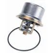 Thermostat d'eau WAHLER 4621.80D - Visuel 2