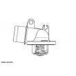 Thermostat d'eau WAHLER 4630.87D - Visuel 1