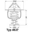 Thermostat d'eau WAHLER 4637.82D - Visuel 1