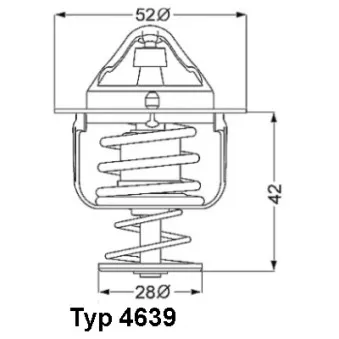 Thermostat d'eau WAHLER 4639.82D