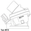 Thermostat d'eau WAHLER 4816.90D - Visuel 1