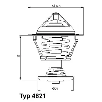 Thermostat d'eau WAHLER 4821.89D