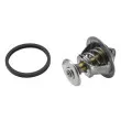 Thermostat d'eau WAHLER 4821.89D - Visuel 2