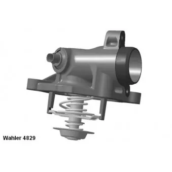 Thermostat d'eau WAHLER 4829.100D