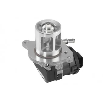 Vanne EGR WAHLER 710095D