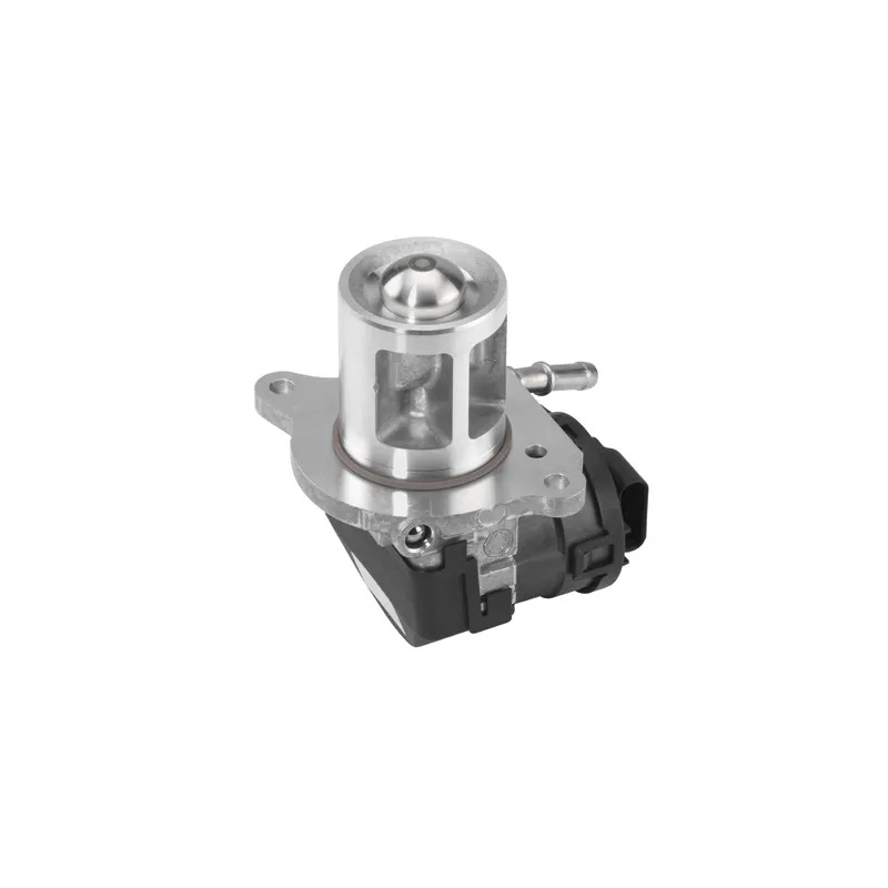 Vanne EGR WAHLER 710095D