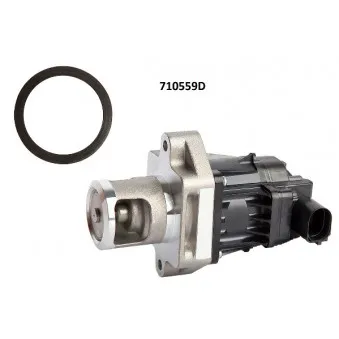 Vanne EGR WAHLER 710559D