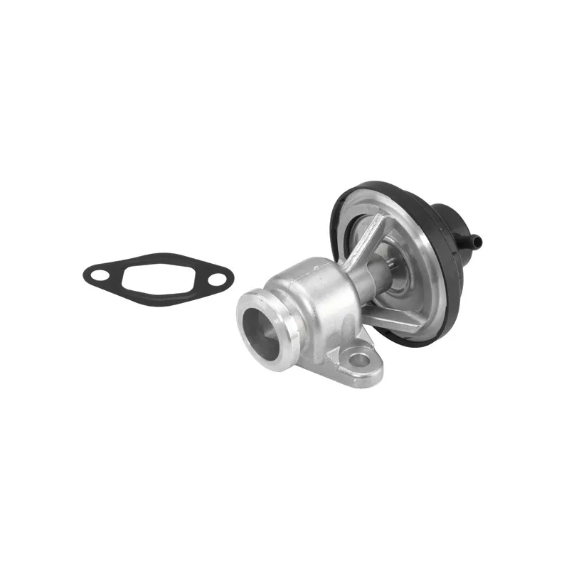Vanne EGR WAHLER 710570D