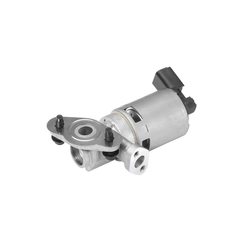 Vanne EGR WAHLER 710629D