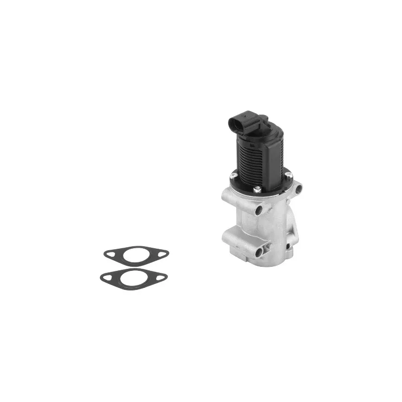 Vanne EGR WAHLER 710770D