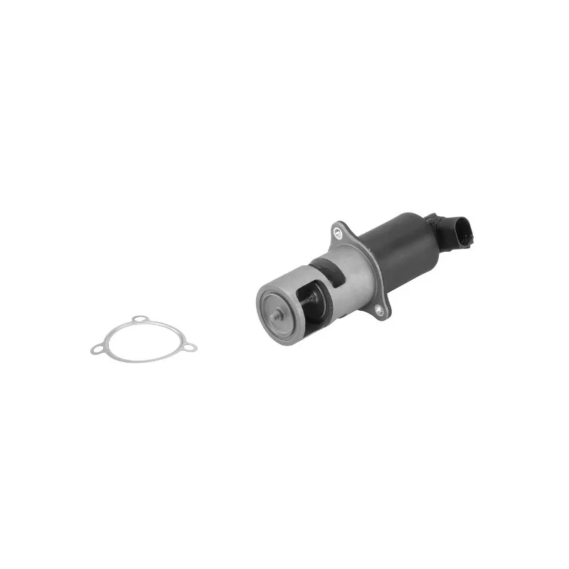 Vanne EGR WAHLER 710830D