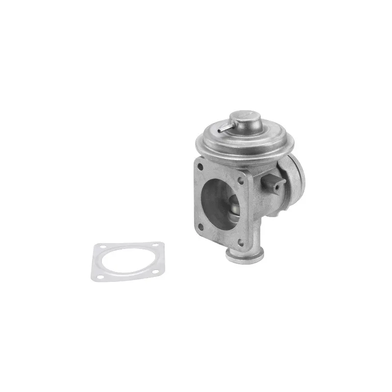 Vanne EGR WAHLER 710921R