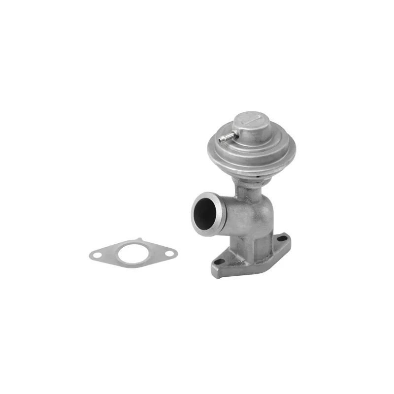 Vanne EGR WAHLER 710922R