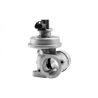 Vanne EGR WAHLER 710923R
