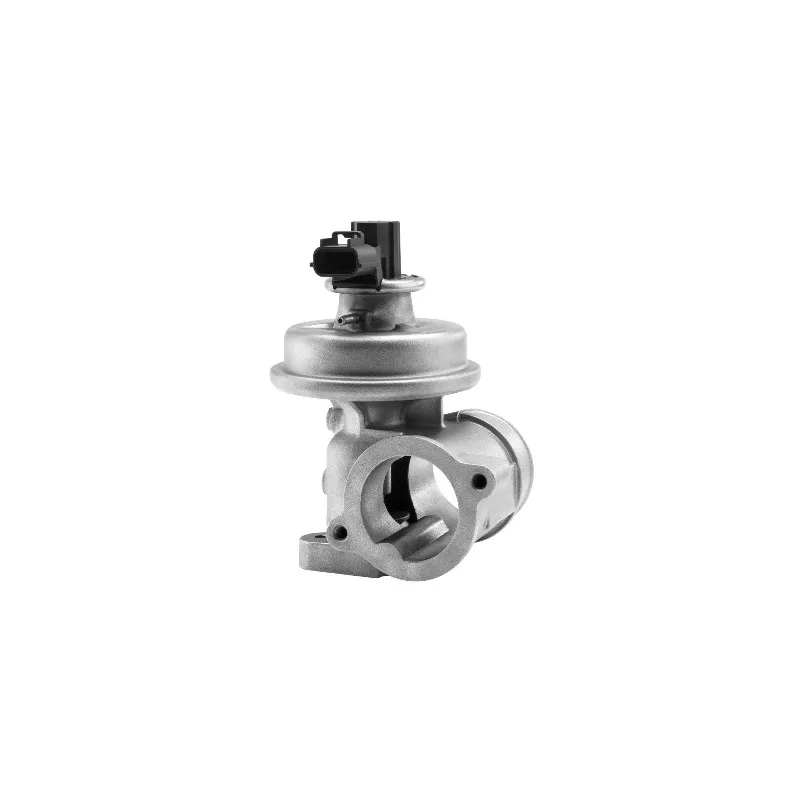 Vanne EGR WAHLER 710923R