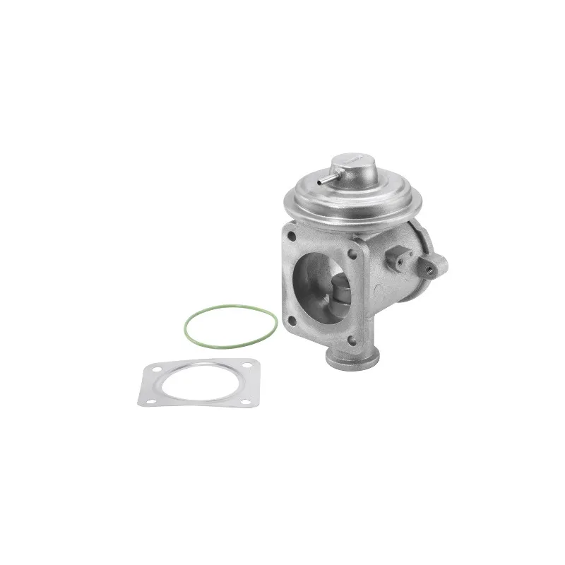 Vanne EGR WAHLER 710924R