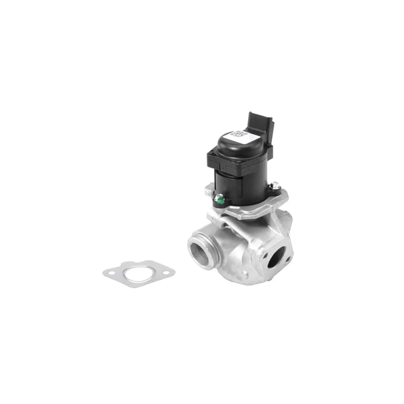 Vanne EGR WAHLER 710927R