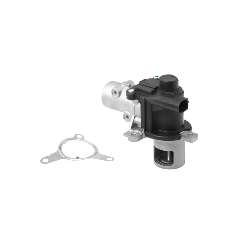 Vanne EGR WAHLER 710928R