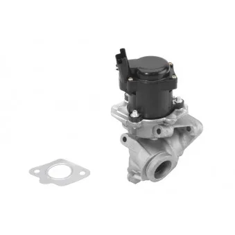 Vanne EGR WAHLER 710929R