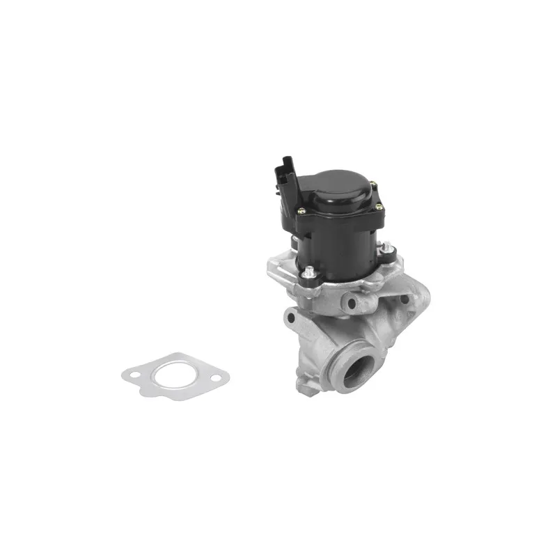 Vanne EGR WAHLER 710929R