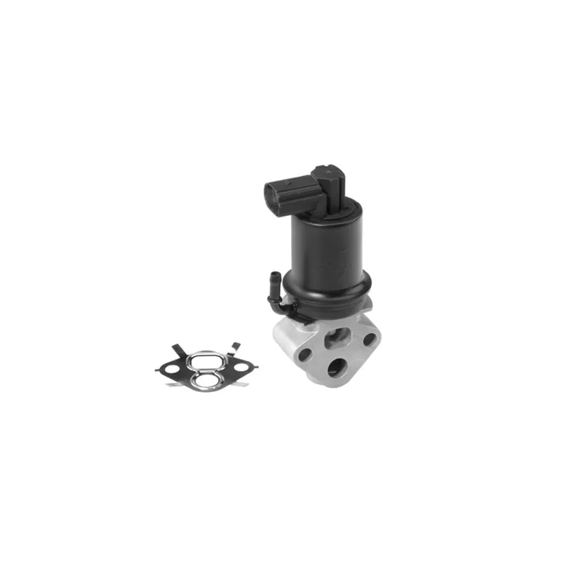 Vanne EGR WAHLER 710932R