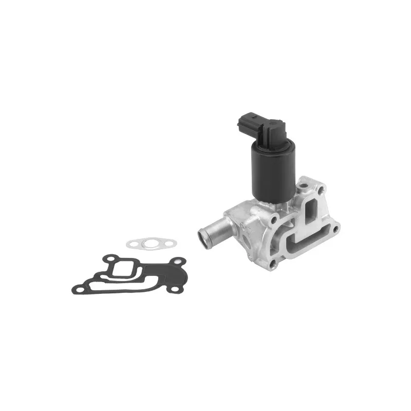 Vanne EGR WAHLER 710933R