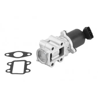 Vanne EGR WAHLER 710934R