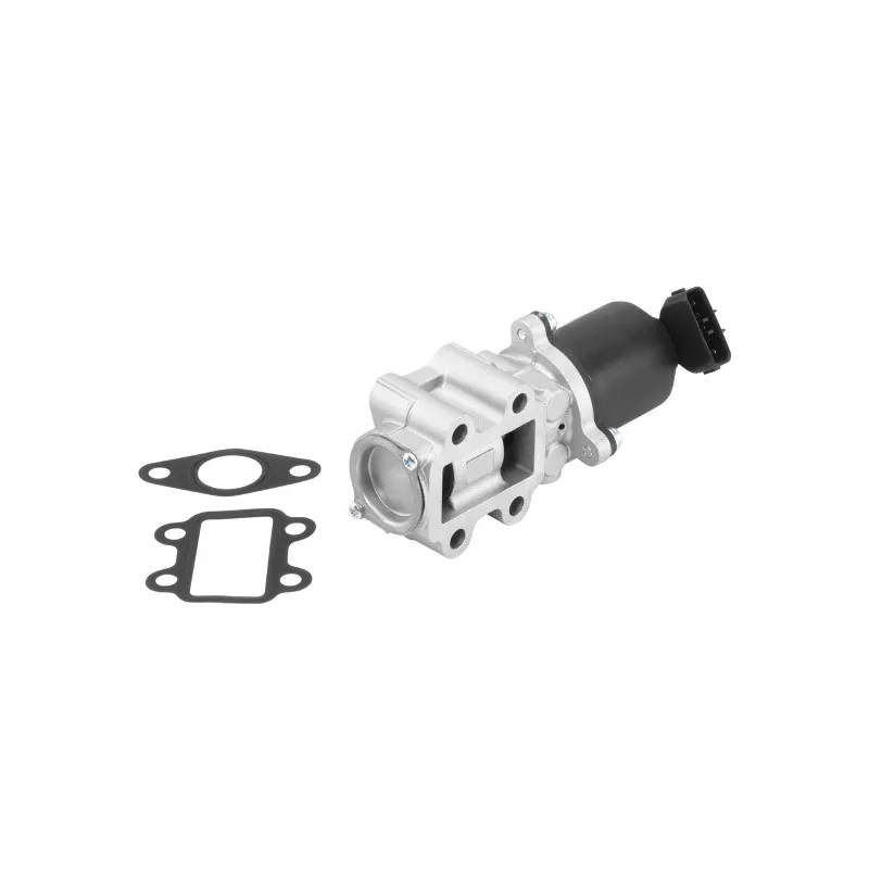 Vanne EGR WAHLER 710934R