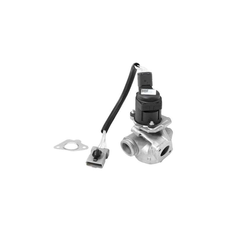 Vanne EGR WAHLER 710936R