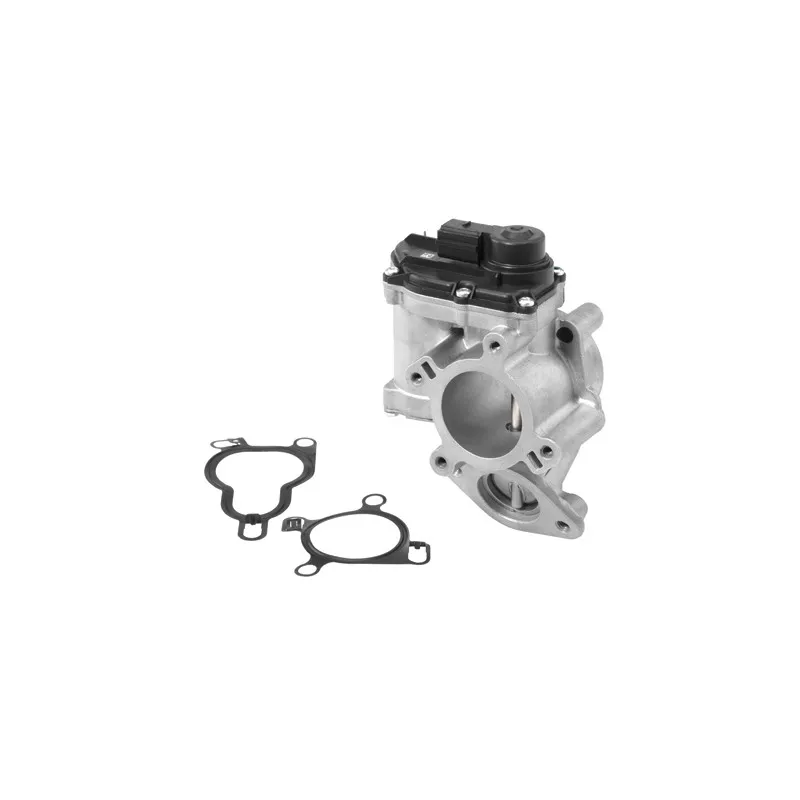 Vanne EGR WAHLER 710939R