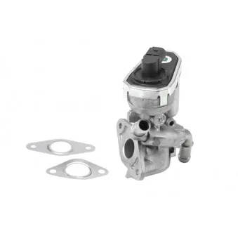 Vanne EGR WAHLER 710941R