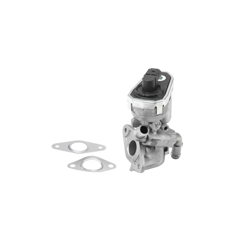 Vanne EGR WAHLER 710941R