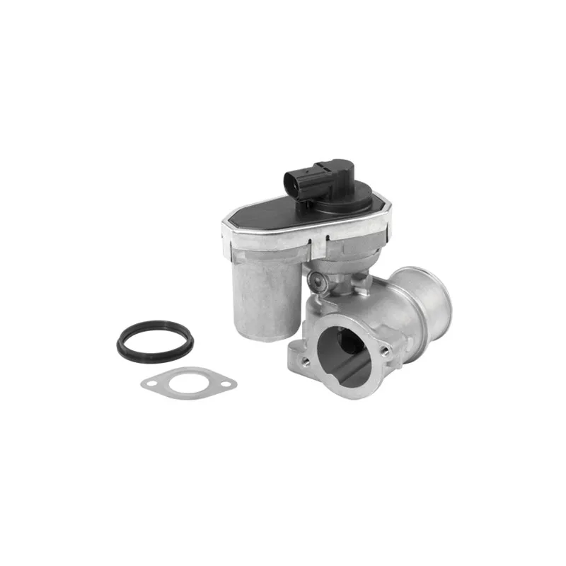 Vanne EGR WAHLER 710942R