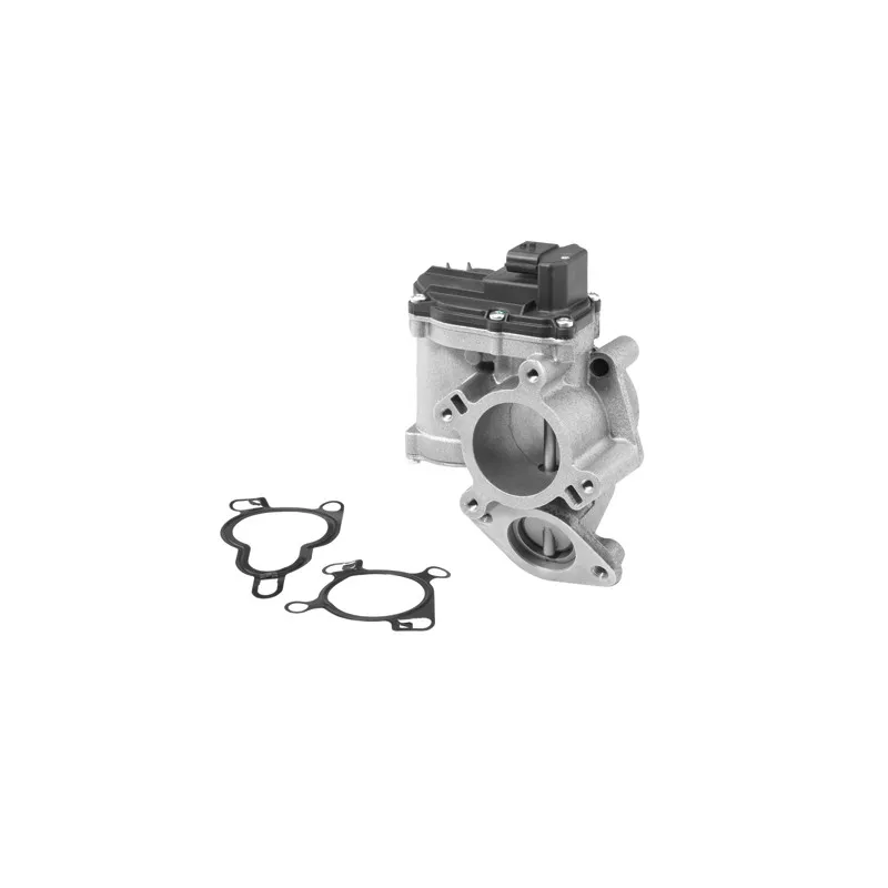 Vanne EGR WAHLER 710945R