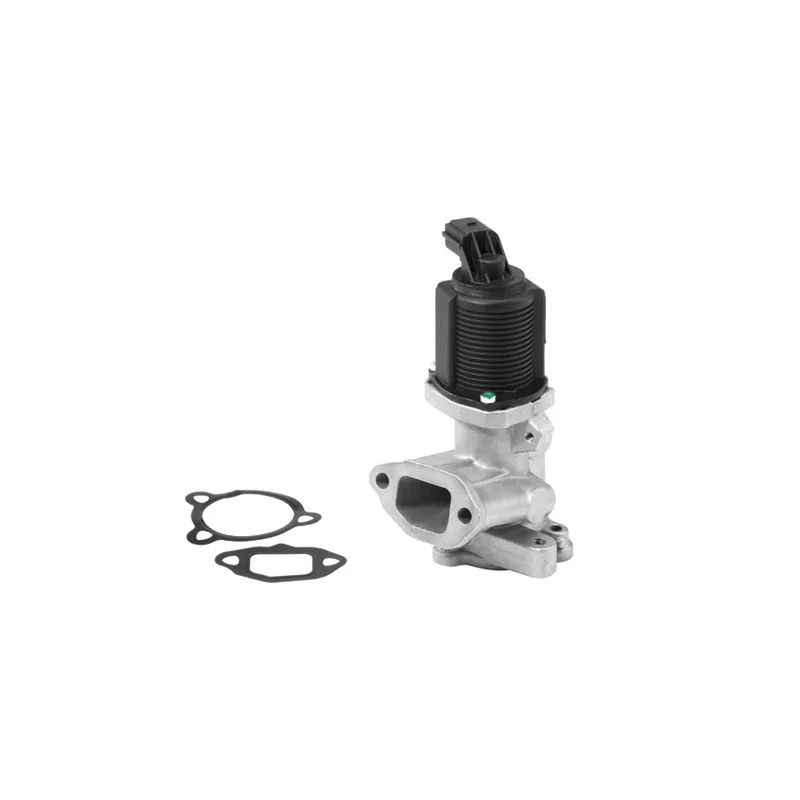 Vanne EGR WAHLER 710949R